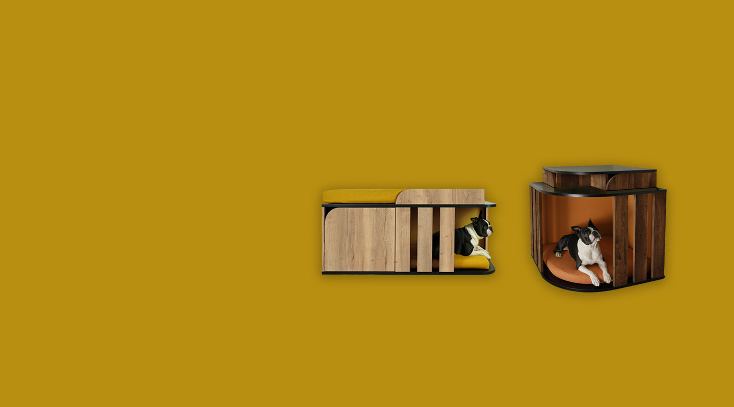 Deux niches design La Niche Rebelle sur fond jaune lumineux, en bois de chêne clair avec coussins assortis jaune curry, alliant élégance et confort pour chiens